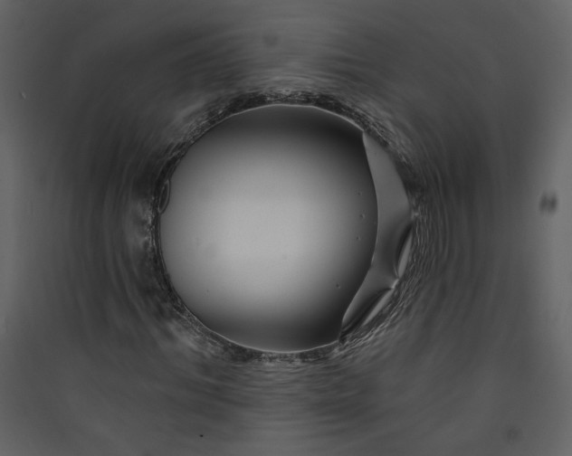 X0000089910964200707131346