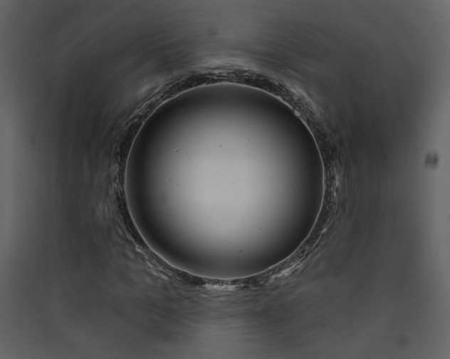 X0000089910965200707131346