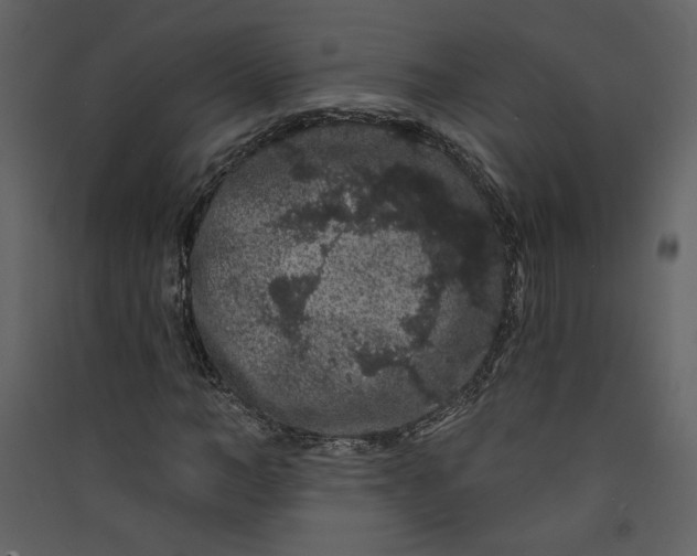 X0000089910966200707131346
