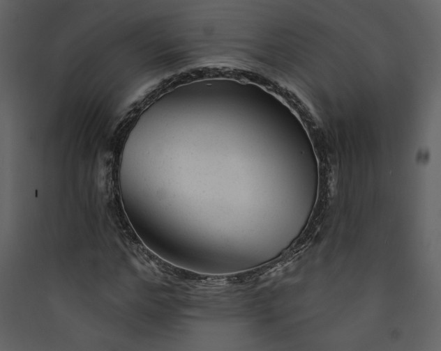 X0000089910968200707131346