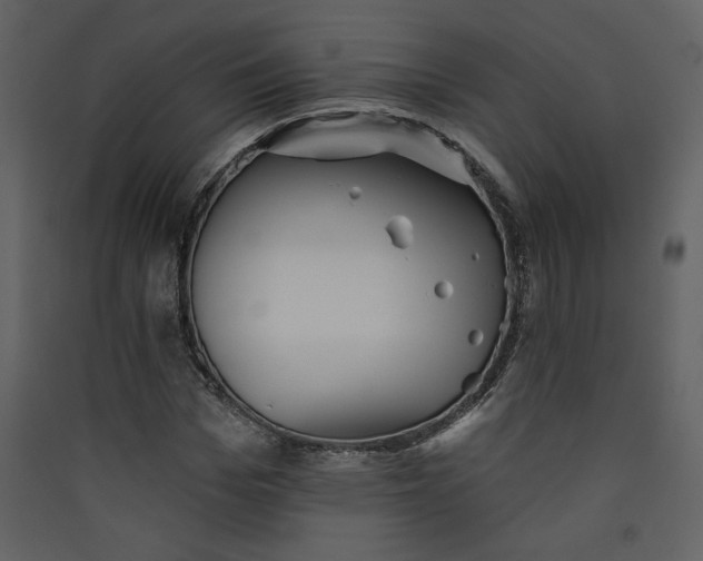 X0000089910969200707131346