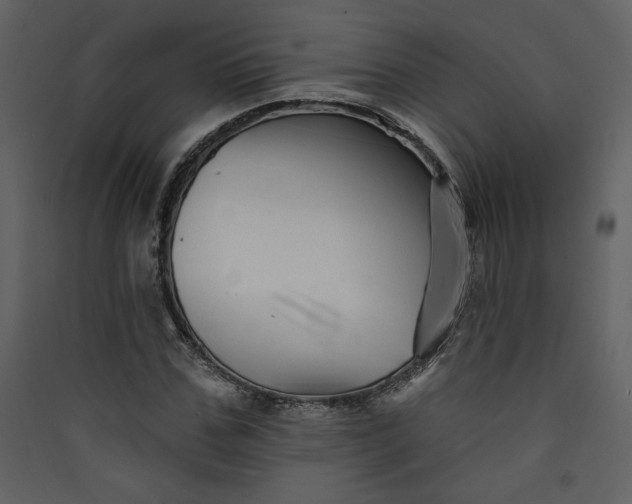 X0000089910971200707131346