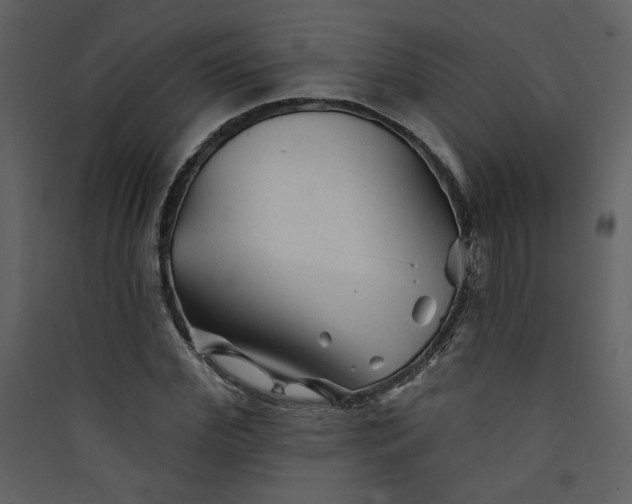 X0000089910972200707131346