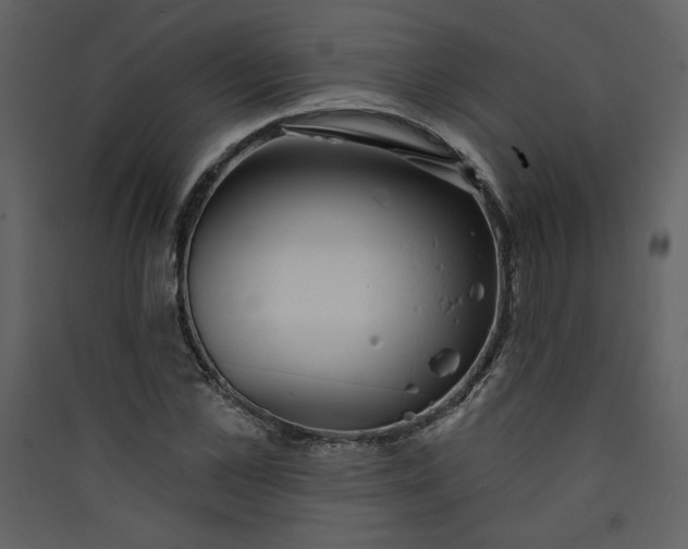 X0000089910973200707131346