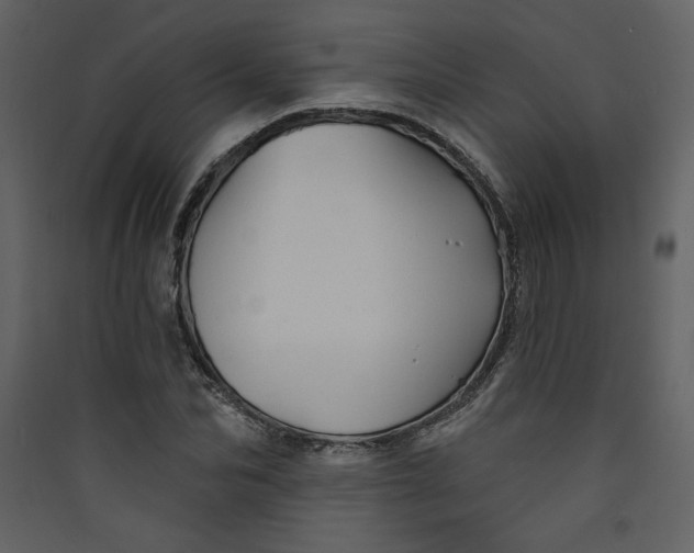 X0000089910974200707131346