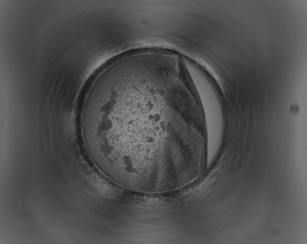 X0000089910975200707131346