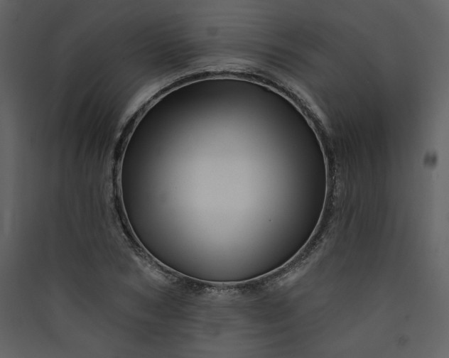 X0000089910978200707131346