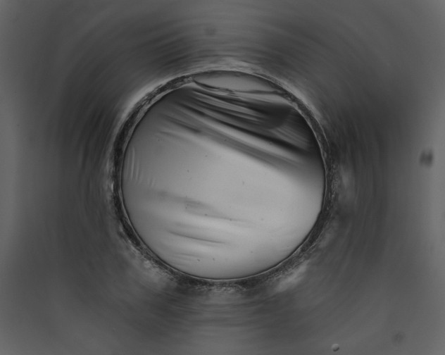 X0000089910979200707131346