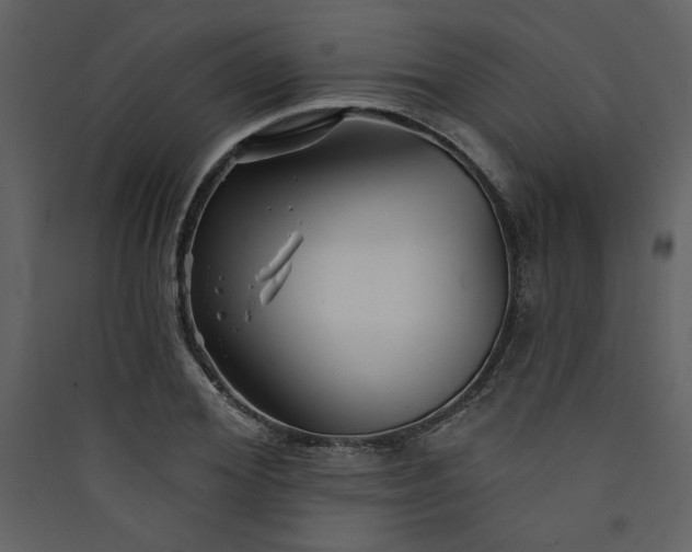 X0000089910980200707131346