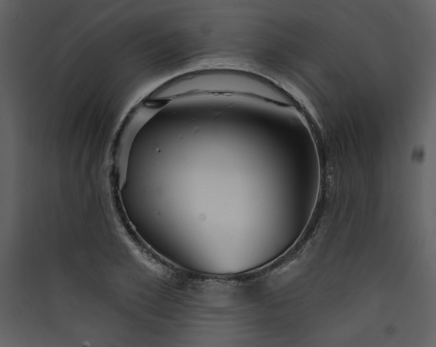 X0000089910981200707131346