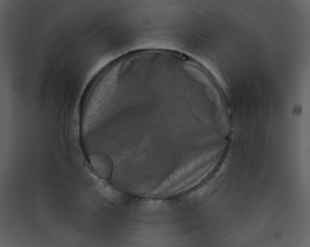 X0000089910982200707131346
