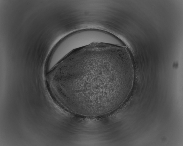 X0000089910983200707131346