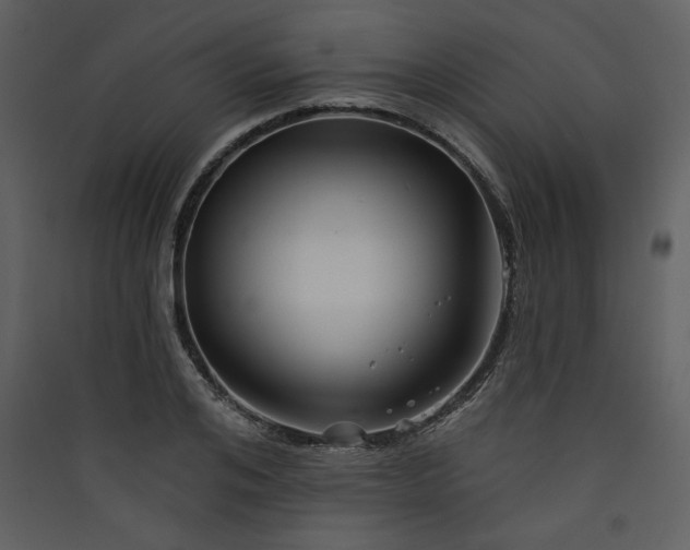 X0000089910984200707131345