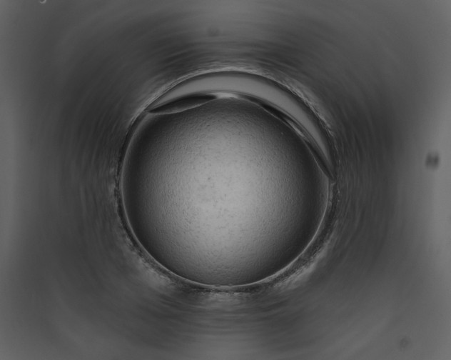X0000089910985200707131345