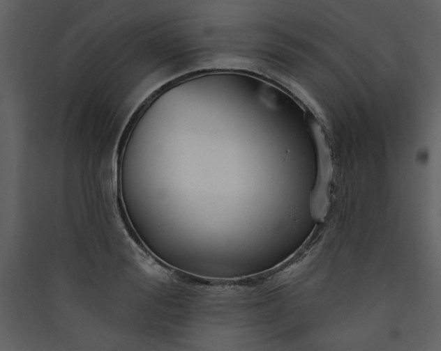 X0000089910988200707131345