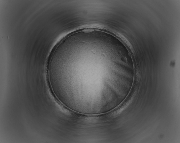 X0000089910989200707131345