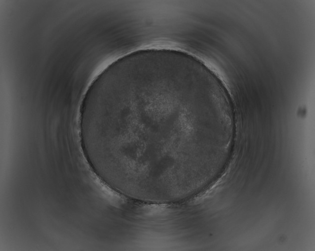 X0000089910990200707131345