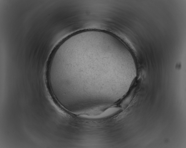 X0000089910991200707131345