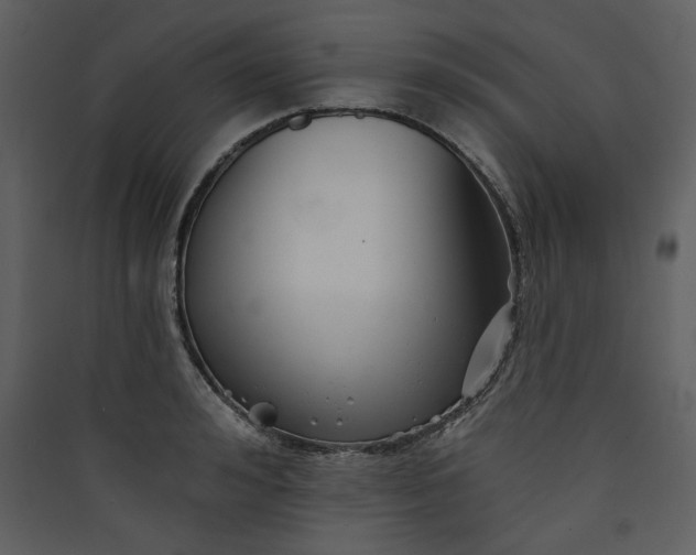 X0000089910992200707131345