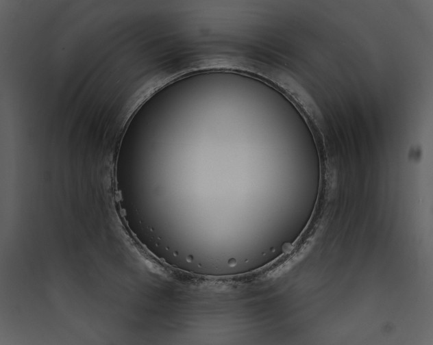 X0000089910993200707131345