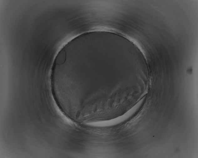 X0000089910995200707131345