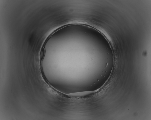 X0000089910996200707131345