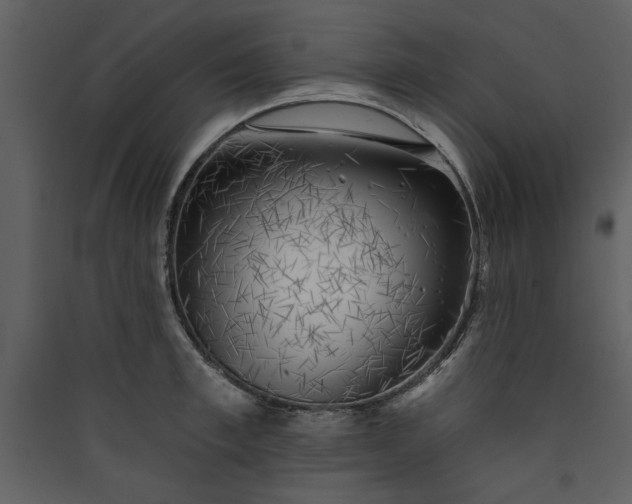 X0000089910997200707131345