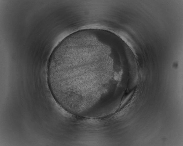 X0000089910998200707131345