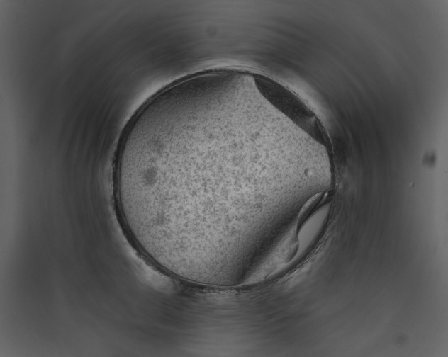X0000089910999200707131345
