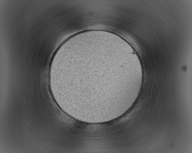 X0000089911000200707131345