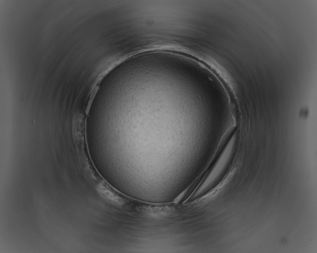 X0000089911001200707131345