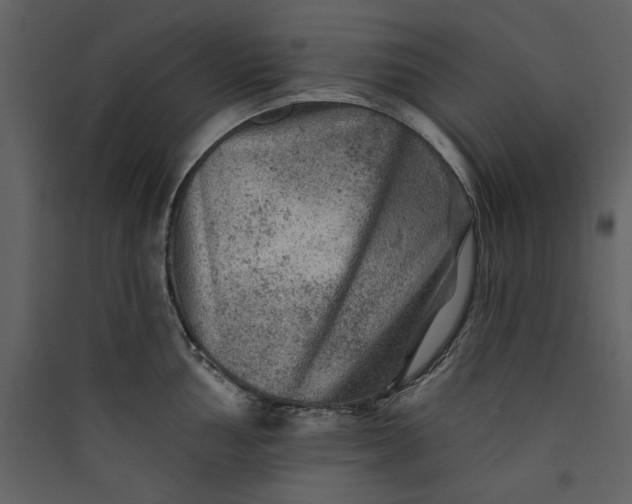 X0000089911002200707131345