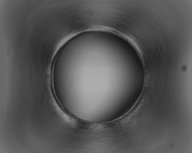 X0000089911003200707131345