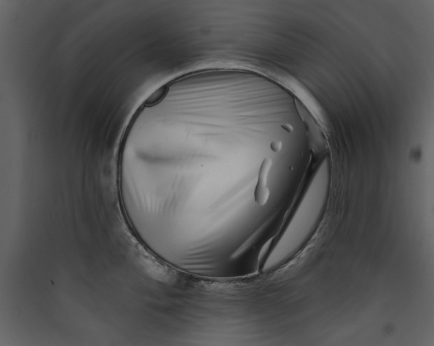 X0000089911004200707131345