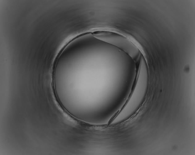 X0000089911005200707131345