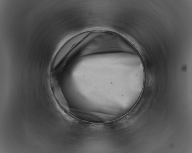 X0000089911006200707131345