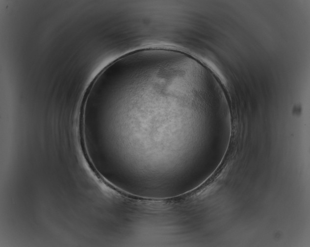 X0000089911007200707131345