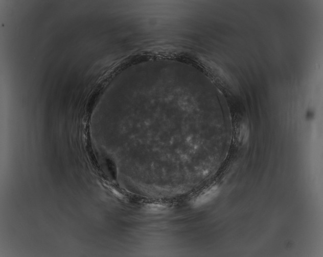 X0000089911010200707131345