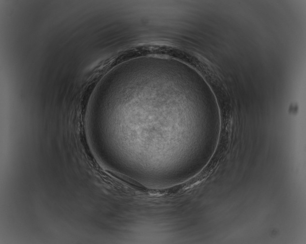 X0000089911014200707131345