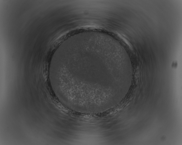 X0000089911015200707131345