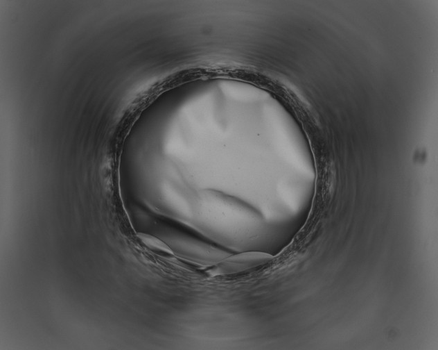 X0000089911016200707131345