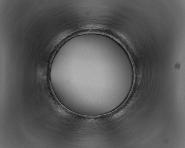 X0000089911017200707131345