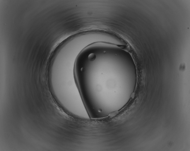 X0000089911018200707131345