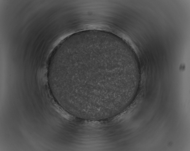 X0000089911019200707131345