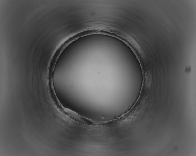 X0000089911020200707131345
