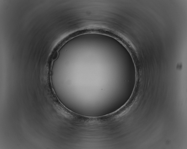 X0000089911021200707131345