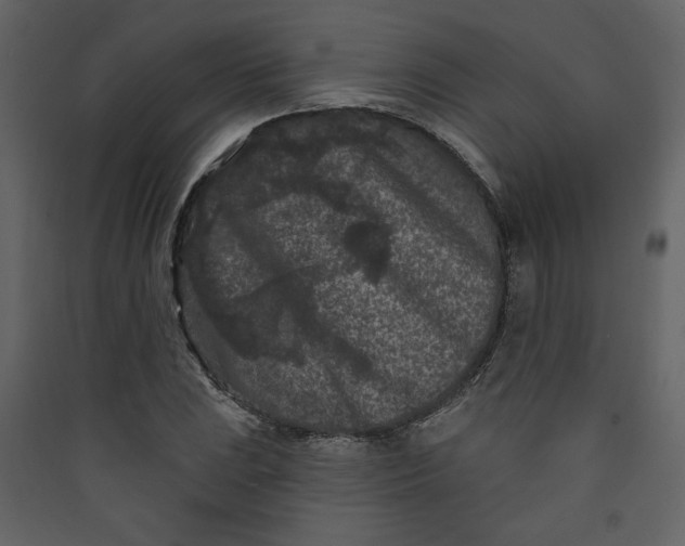X0000089911023200707131345
