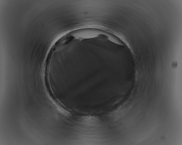 X0000089911024200707131345
