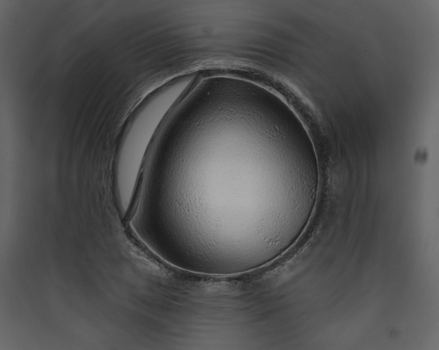 X0000089911025200707131345