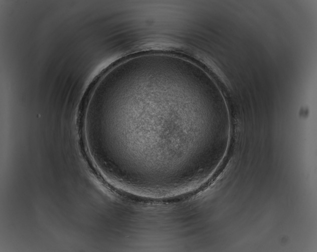 X0000089911026200707131345